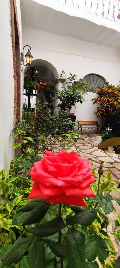 Готель El Jardin De La Abuela Керетаро Екстер'єр фото
